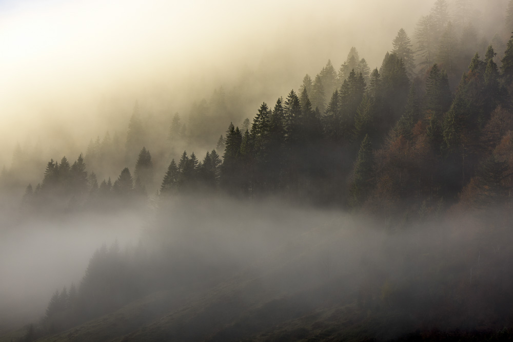 Platz 12 Robert Seitz